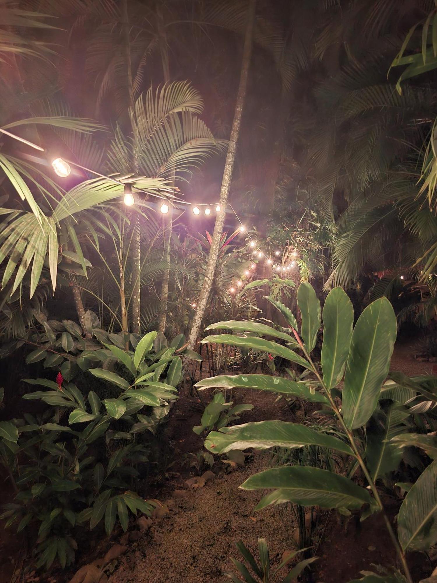 Villa El Jardin de Playa Negra Puerto Viejo de Talamanca Exterior foto
